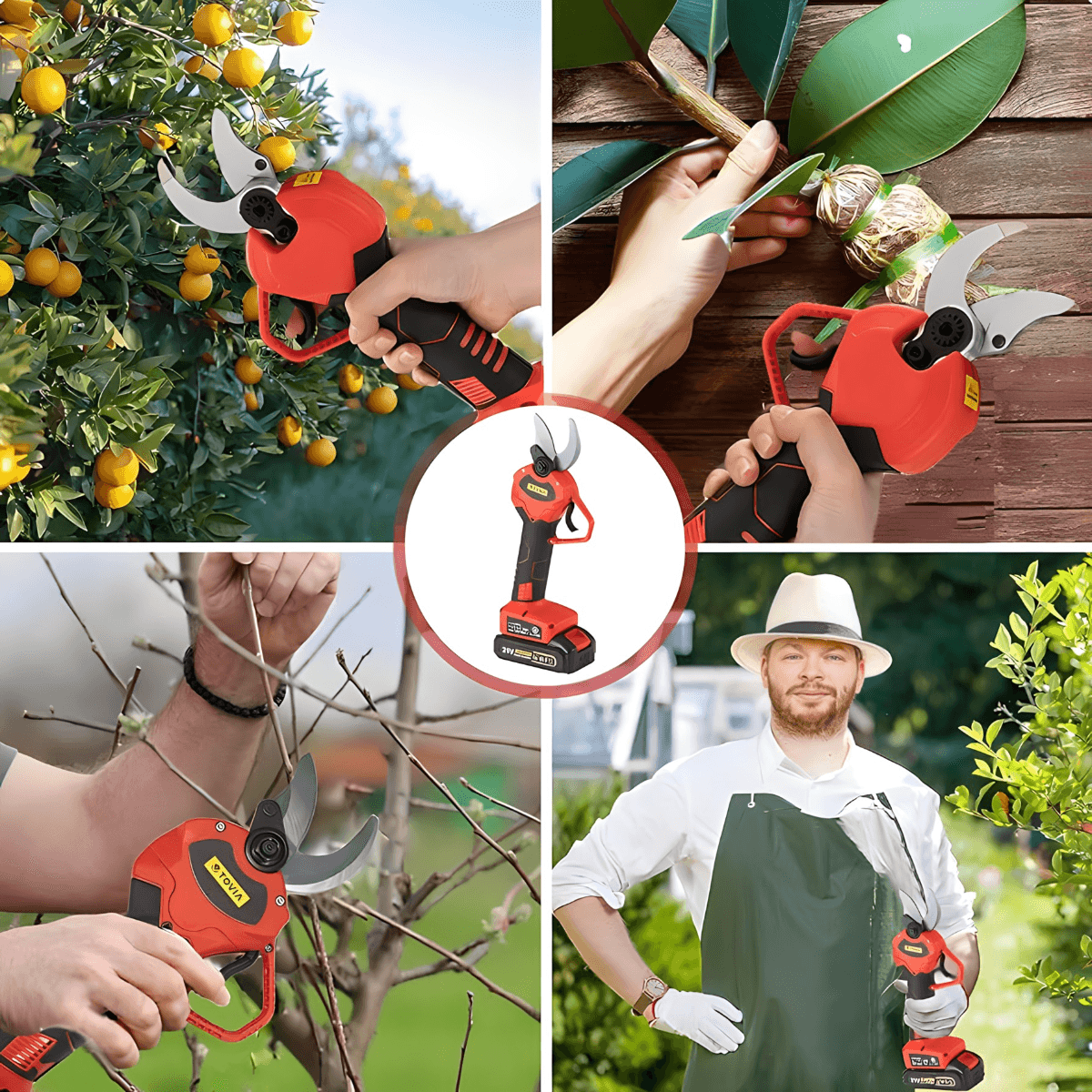 Električne makaze za orezivanje voća 48V