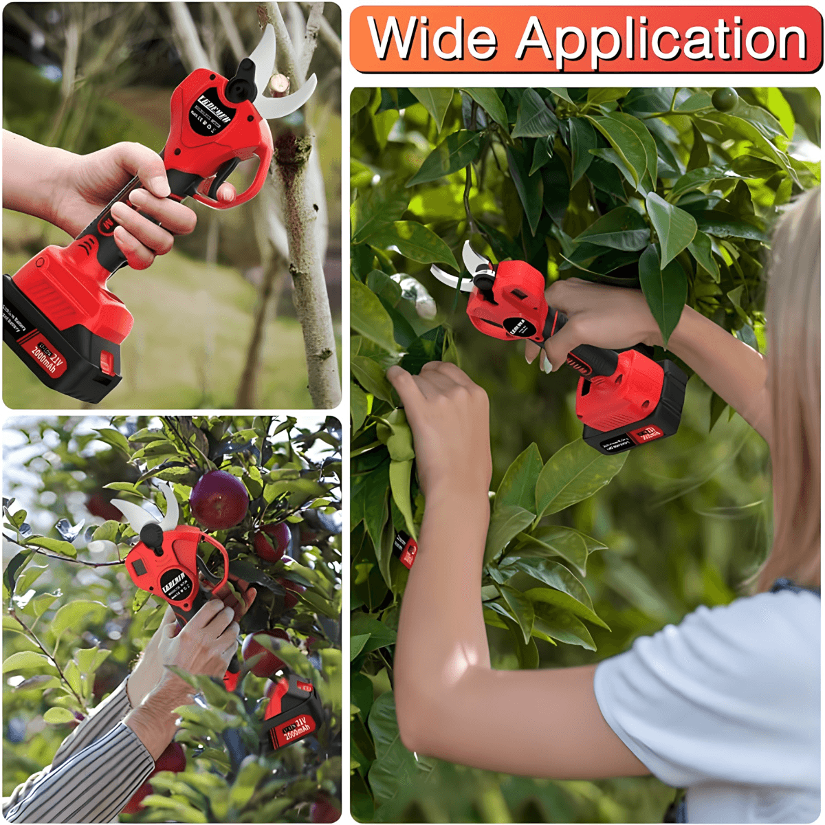 Električne makaze za orezivanje voća 48V