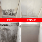 Sprej za uklanjanje i čišćenje plijesni sa zidova