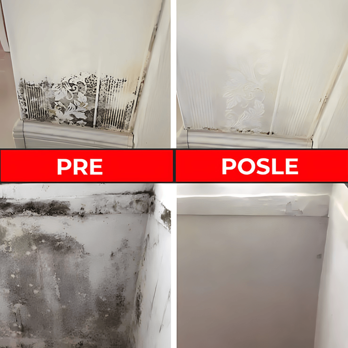 Sprej za uklanjanje i čišćenje plijesni sa zidova